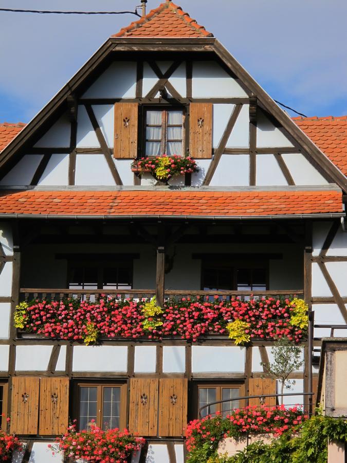 Hotel Restaurant Faller Emmebuckel Itterswiller Exteriér fotografie